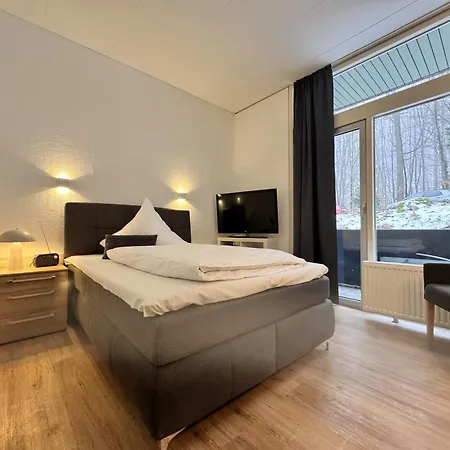 Апартаменты Kurhaus Im Harz - *